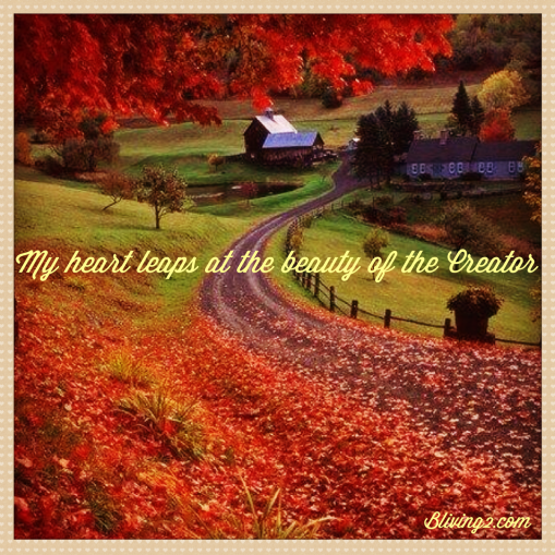 inspiration my heart leaps at the beauty of the creator