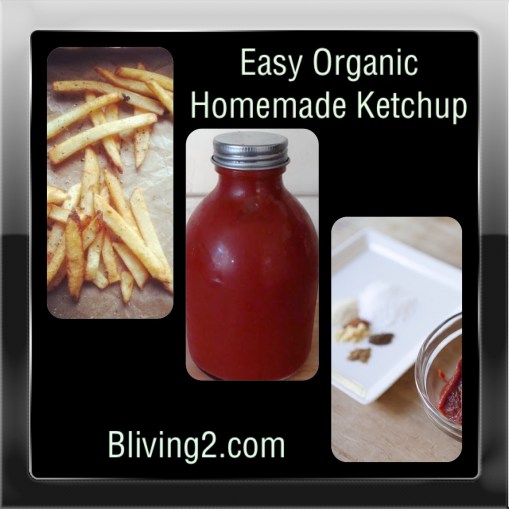 Easy Organic Homemade Ketchup