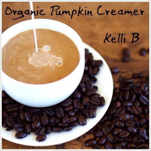 Organic Pumpkin Creamer pic