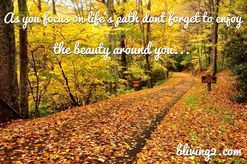 As You Focus on Life's Path pic