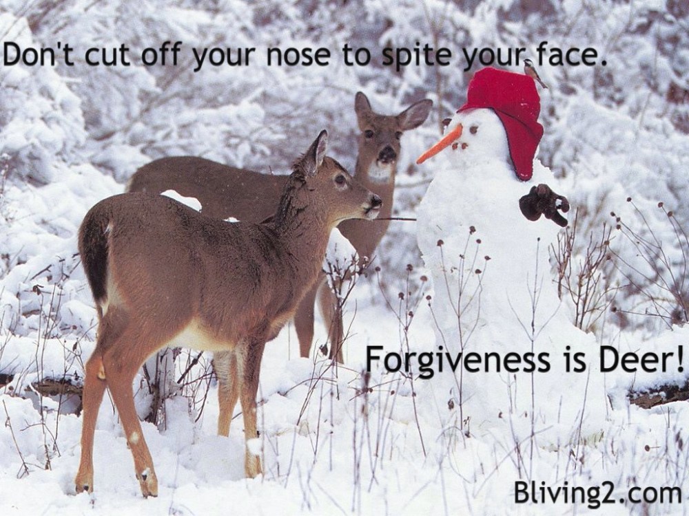 forgiveness pic