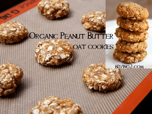 Organic Peanut Butter Oat Cookies Picture
