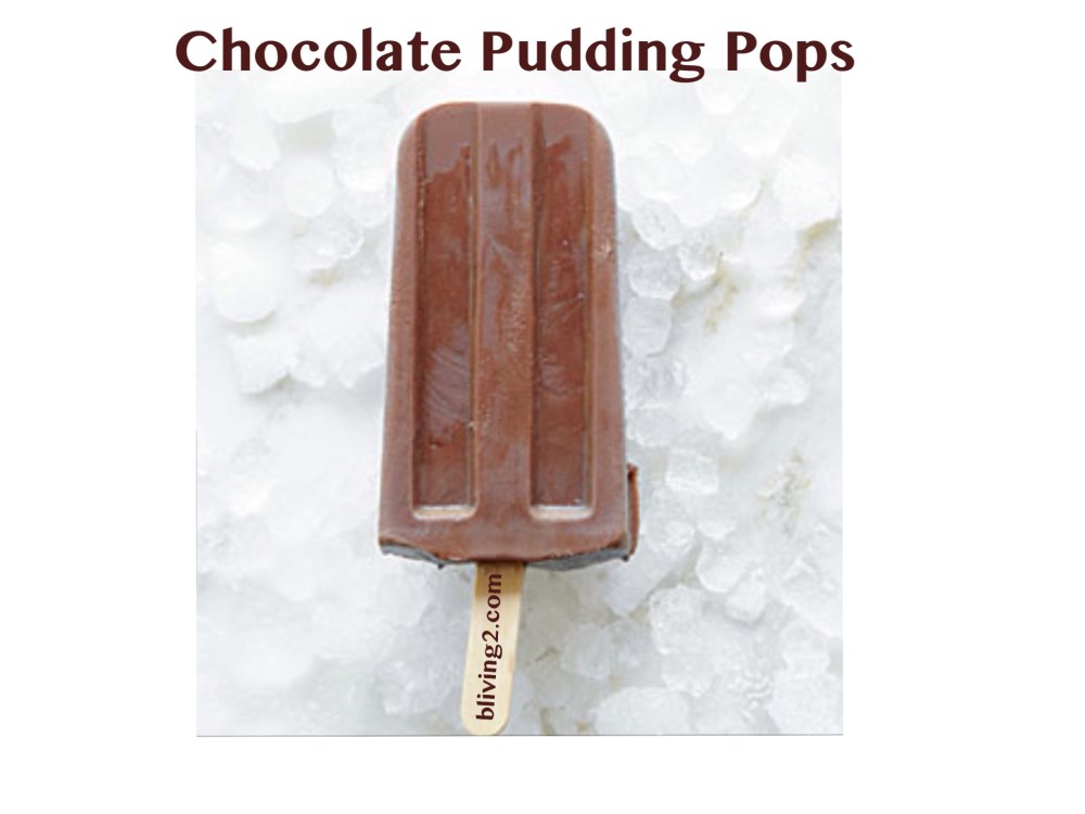 Chocolate Pudding Pops