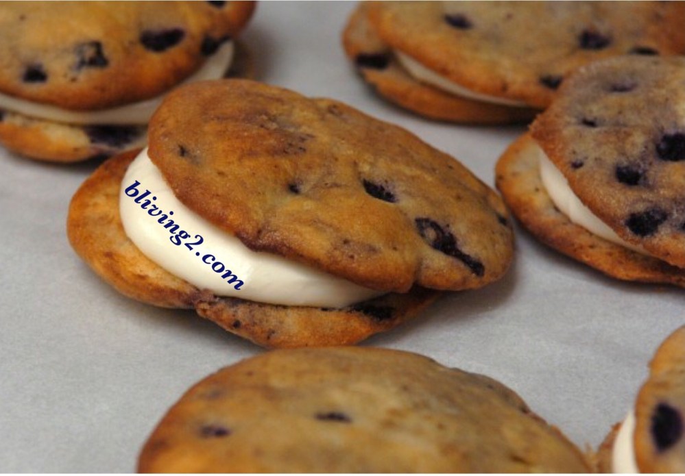 Blueberry Whoopie Pie